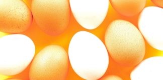 The Incredible Benefits of Eggs