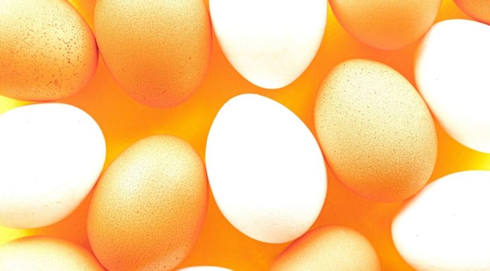 The Incredible Benefits of Eggs