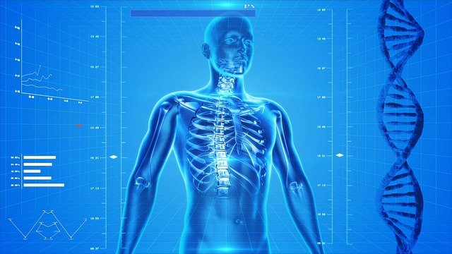 Osteoporosis, everything you should know